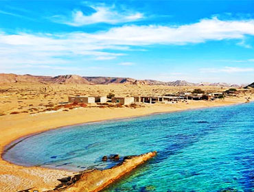 کاریابی